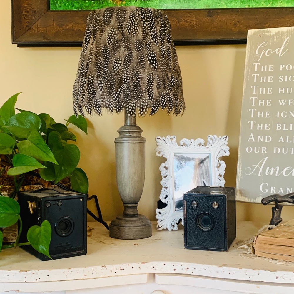 Exquisite Handmade Guinea feather lampshade - Picture 3 of 3